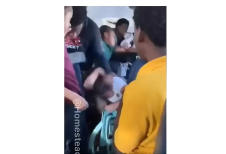 video_bullying_nina_sufre_bestial_goliza_en_la_ruta_del_colegio.jpg