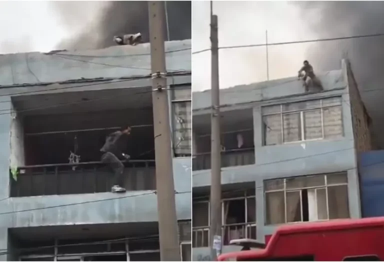 colombiano_salva_a_25_perros_de_morir_en_incendio_de_peru.jpg