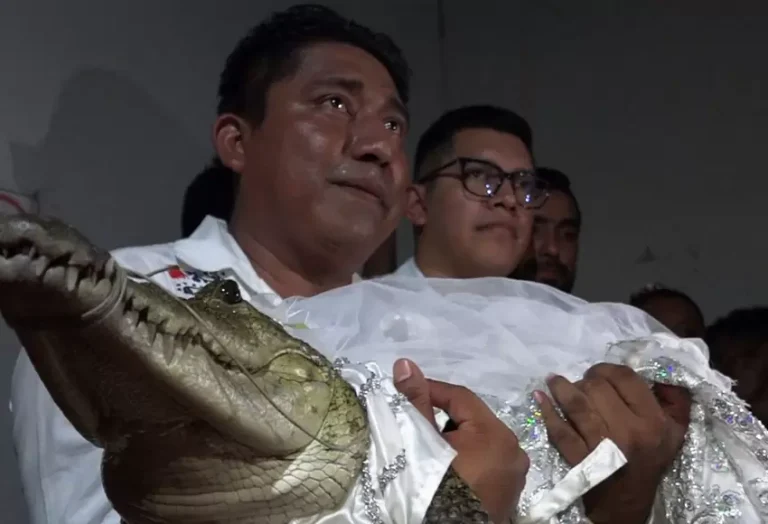 alcalde_de_san_pedro_huamelula_victor_hugo_sosa_se_casa_con_un_caiman_0.jpg