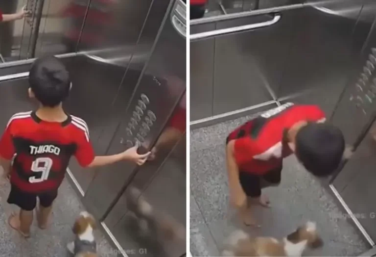 nino_salva_a_su_perrita_de_morir_en_un_ascensor.jpg