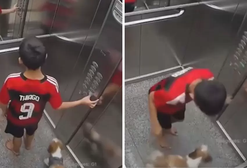 nino_salva_a_su_perrita_de_morir_en_un_ascensor.jpg