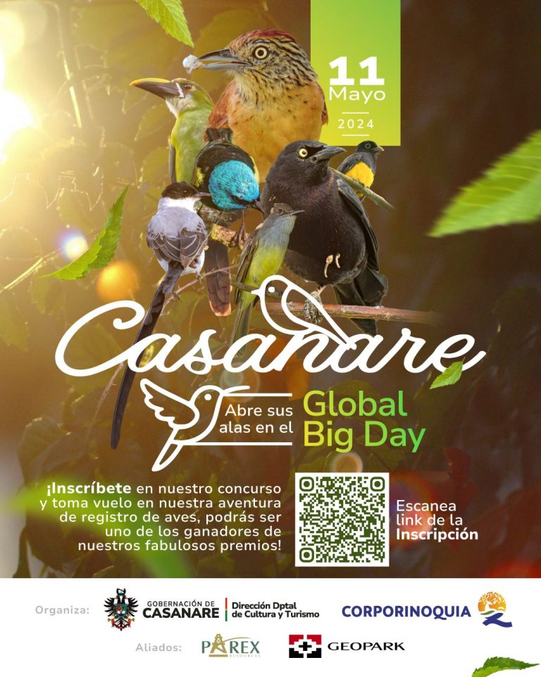 Cultura Casanare abre sus alas en el Global Big Day