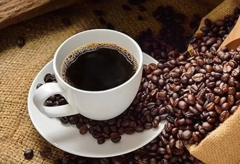 cafe_0_12.jpg