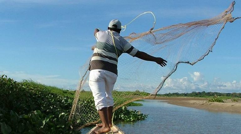 Veda de pescado Casanare