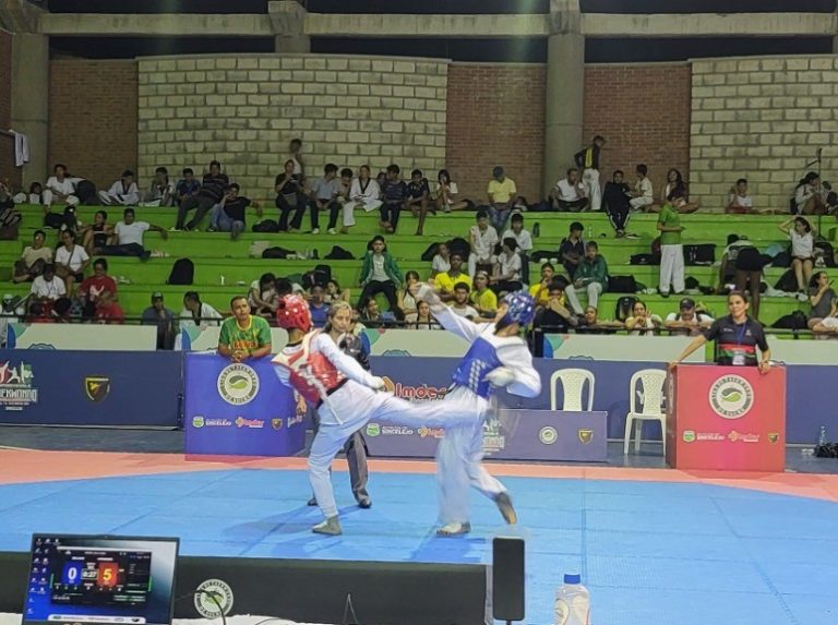 Taekwondo5