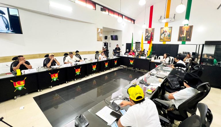 Debate Concejo 3
