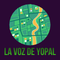 Visitar%20Yopal